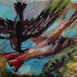 Crow and Red Tail Hawk