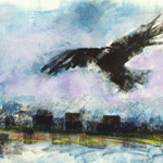 City Raven