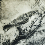Crow's Perch
