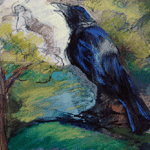 Crow Outside My Window