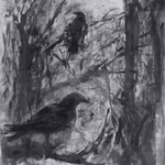 Winter Woods