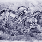 Pasture Run